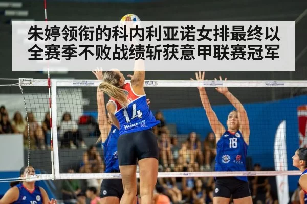 volleyball match action