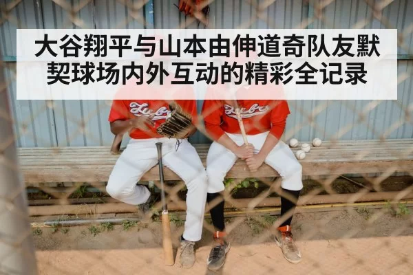 baseball teamwork
