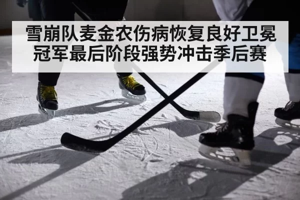 ice hockey player action
