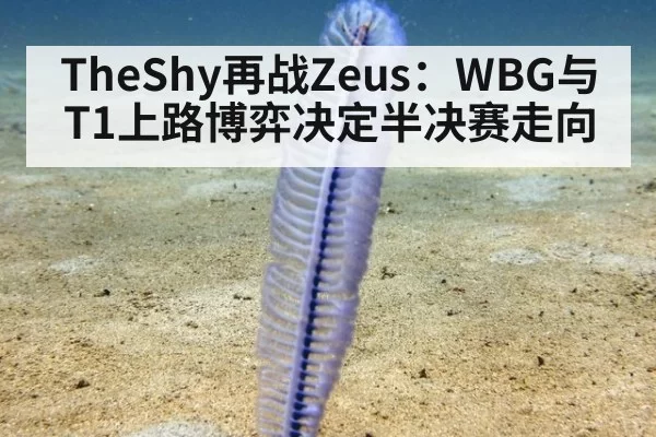 TheShy再战Zeus：WBG与T1上路博弈决定半决赛走向